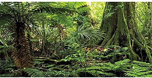 AWERT 24x12 cm Erdő Terrárium Háttér Kő Zöld Hatalmas Fa Hüllő Élőhely Háttér Trópusi Esőerdő Akvárium Háttér Tartós Poliészter Háttér