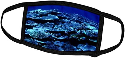 3dRose Kike Calvo Víz alatti Élet - Egészséges Korallzátony, Nagy-Korallzátony, Queensland, Ausztrália - Álarcok (fm_45514_3)