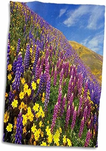 3dRose Kaliforniai Dombtetőn Borított Vadvirágok - Törölköző (twl-59732-1)
