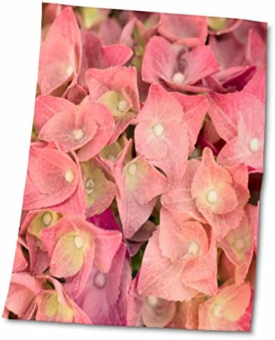 3dRose Uta Naumann Fotózás Virágok - Gyönyörű Rózsaszín Hortenzia Virág - Törölköző (twl-253310-3)