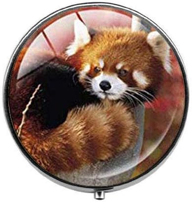 Vörös Panda Medve - Vörös Panda Medve Tabletta Doboz - Állat Tabletta Doboz - Üveg Candy Doboz