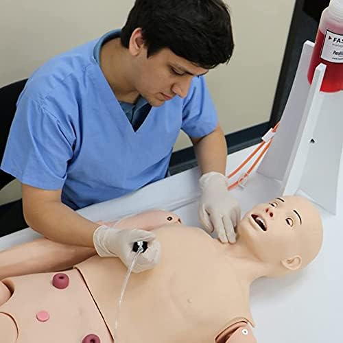 BBYT Ápolási Ismeretek Képzés Próbabábu Női betegellátás CPR Dummy betegellátás Nemi szervek Lnterchangeable az Idősek Orvosi Képzés,