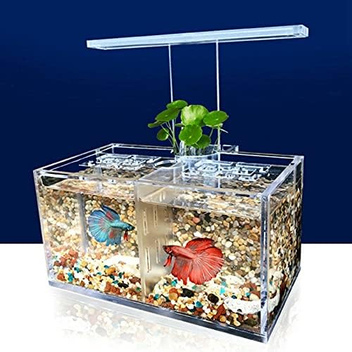 WYBFZTT-188 Akvárium LED Akril akvárium Szett Mini Asztali Lámpa Víz Szivattyú Szűrő-Tripla