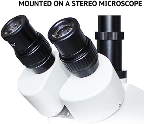 Mikroszkóp Kiegészítők Készlet Felnőttek WF20X Biológiai Sztereó Mikroszkóp Szemlencse a Skála, Vagy Anélkül, Mérleg Labor,