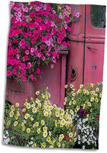 3dRose USA, Alaszka, Chena Hot Springs. Panoráma öreg teherautó, virágok. - Törülközők (twl-278374-3)
