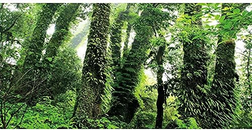 AWERT 24x12 cm Mély Erdő Terrárium Háttér Ködös Esőerdő Akvárium Háttér Trópusi Hatalmas Fák Hüllő Élőhely Háttér Vinil