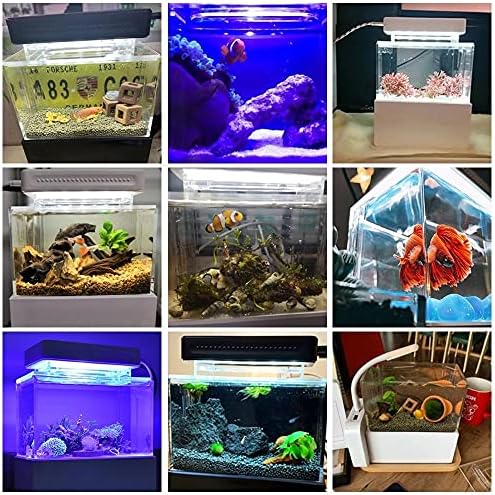 GHGHF Mini akvárium, Asztali Tengeri Akvapóniás Akvárium Halak Tál Vízzel Fliter LED USB Pumpa Hordozható Dekoráció (Szín