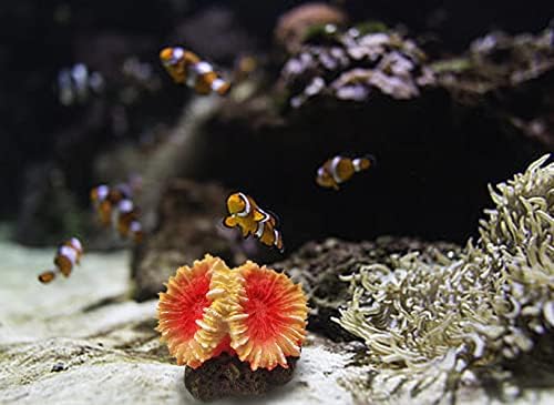 E. YOMOQGG Akvárium Korall Polyresin Díszek, Mesterséges Korallzátony Dekoráció akváriumba & Táj Dekoráció (4.33 x 3.54 x 3.54 cm, Sárga &