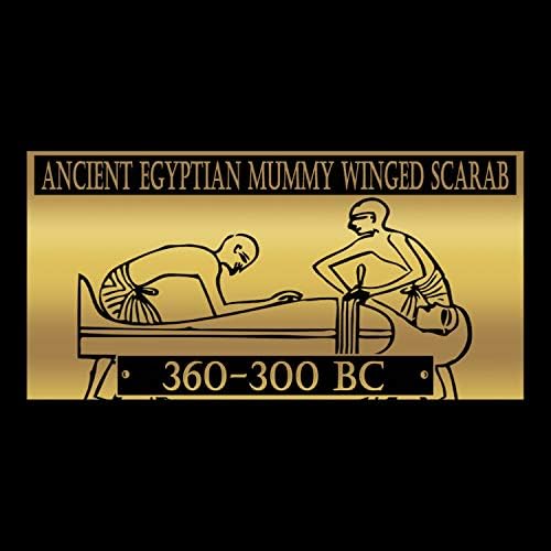 Ősi Egyiptomi Hiteles Kék Fajansz Szárnyas Skarabeusz 360-300 BC Múzeum