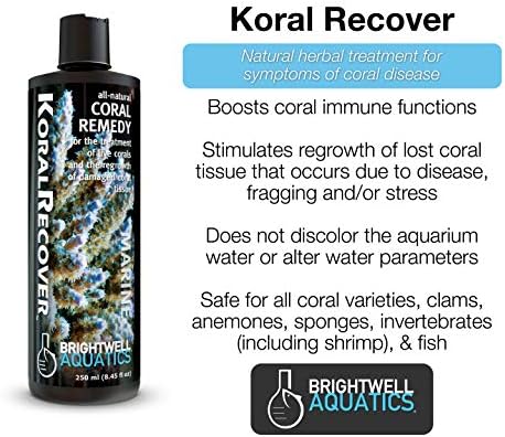 Brightwell Vízi Koral Visszaszerezze - Korall gyógymód a Kezelésére Élő Korallok & Újulat Sérült Korall Szövet, 2L (KRC2L)