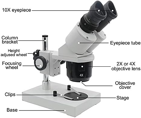 LEPSJGC 10X-20X-30X-40X Binokuláris Sztereó Mikroszkóp Megvilágított Ipari Mikroszkóp w/Szemlencse a órajavítás PCB-Ellenőrzés (Méret