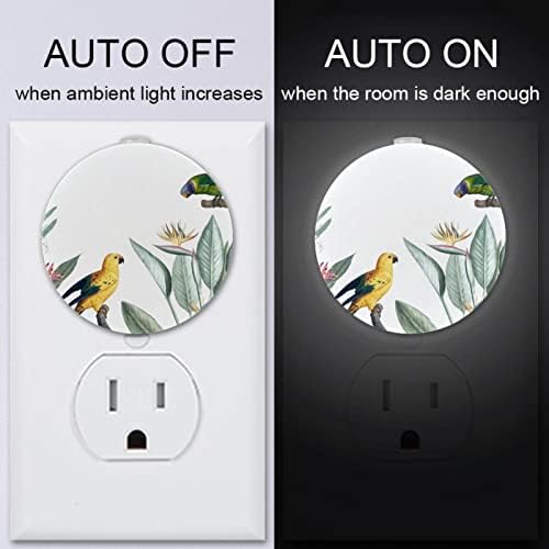2 Csomag Plug-in Éjjeli LED-es Éjszakai Fény, az Alkonyat-hogy-Hajnal Érzékelő Gyerek Szoba, Gyerekszoba, Konyha, Előszoba Zöld & Sárga