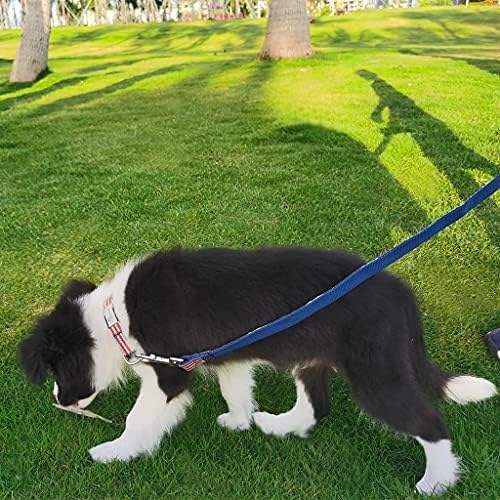 Amerikai Zászló Kockás Kutya Póráz a XSmall Közepes Kutyák, nagy teherbírású - Pórázon Sétáló Képzés, Kényelmes, Párnázott