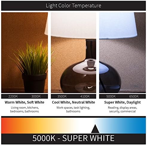 Sunlite LFX/WP/60W/MV/D/50K LED 60W (MH/HPS/HID Csere) Multi-V Kültéri Wallpack világítótestek, 5000K Szuper Fehér