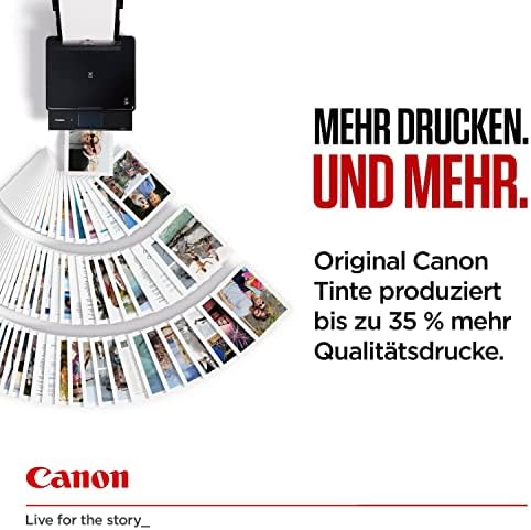 Canon CLI-65 LGY Festék Világos Szürke 12.6 ml Nyomtató Tinta a PIXMA Tintasugaras Nyomtató EREDETI