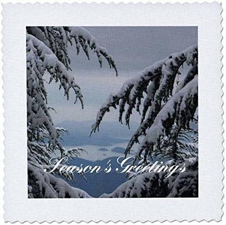 3dRose Fenyő Fák, Hó Seasons Greetings Fethiye - Paplan Négyzetek (qs_352244_2)