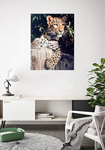 Leopárd (Párduc, Jaguar, Nagy Macska) Vadon élő Állat, Fali Dekor Art Nyomtatás Poszter (16x20)