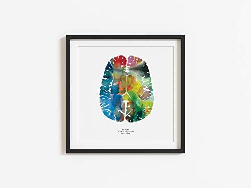J. Sayuri Axiális Emberi Agy Art - 8.5 x 8,5 - Fali Dekor - Színes, Neurológia, Idegsebészet, valamint a Pszichológia Ajándékok - Ünnepi,