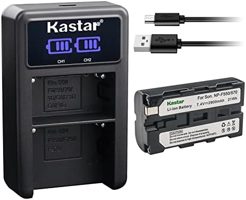 Kastar 1 Csomag NP-F570 Akkumulátor LED2 USB Töltő Kompatibilis HDR-FX1 HDR-FX1000 HDR-FX1000E HDR-FX7 HDR-FX7E HDV-FX1 HDV-Z1
