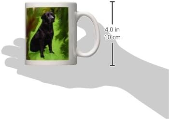 3dRose Kutya Labrador Retriever - Fekete Labrador Retriever - Bögrék (mug_3892_1)