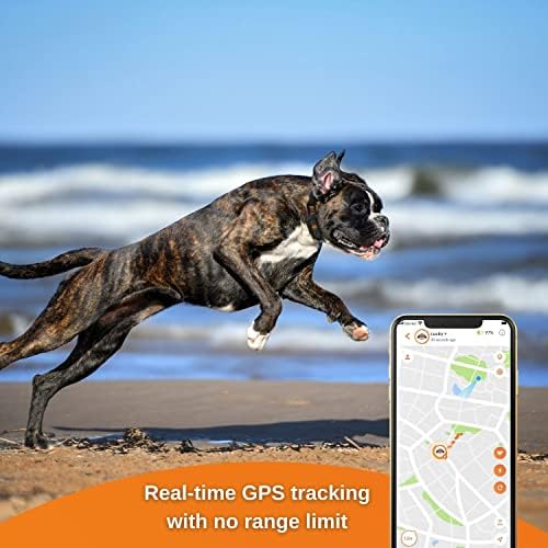 Weenect Kutya GPS Tracker XS (Black Edition 2023) | Valós idejű GPS Követés | Nem-Tartomány Korlátozása | Legkisebb Tracker A Piacon