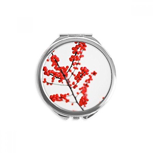 Mérsékelt Vörös Ág Kép, Fénykép Kezét Kompakt Tükör Kerek Hordozható Zsebében Üveg