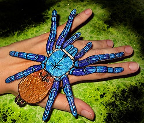 Zöld Üveg Kék Tarantula Pók Vasalót Javítás