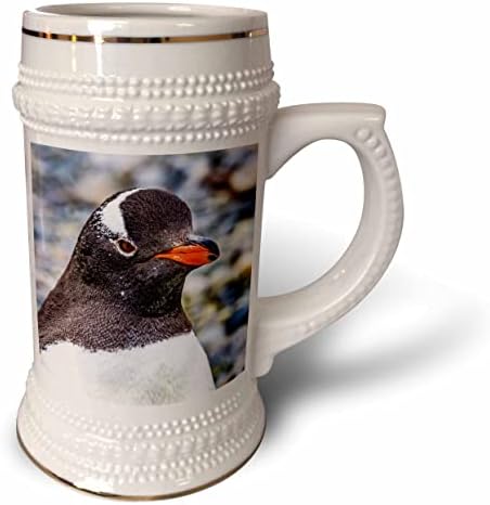 3dRose Gentoo Pingvin, Jenki Harbor, Greenwich-Sziget, Antarktisz. - 22oz Stein Bögre (stn-366297-1)