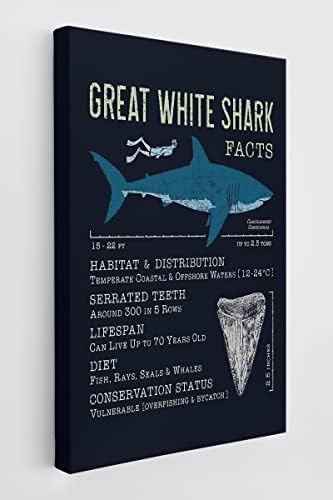 BXFAHZJ Óceán Állati Nagy Fehér Cápa Tények Wall Art a Vásznon Parasztház Cápa Téma 11x14 Hüvelyk Nyomatok Dekoráció Otthon Hálószoba,