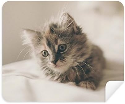 Állat Kitty Szürke Macska Fénykép tisztítókendővel Képernyő Tisztító 2db Velúr Szövet