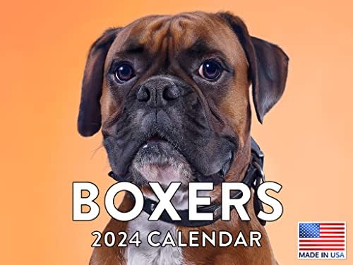 Boxer Naptári 2024-Es Fali Naptár Boxer Ajándékokat, A Nők, Férfiak, Gyerekek, Kutya Szerelmeseinek