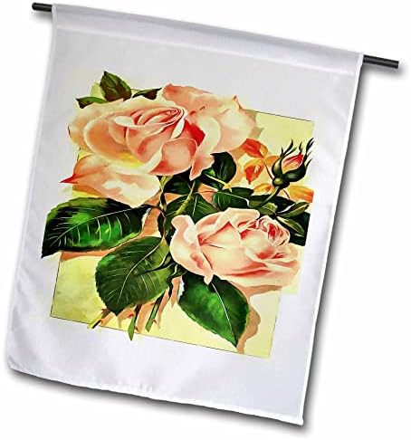3dRose Tea-Rózsa Rózsa Rózsa Kultúra Botanikus Art - Zászlók (fl_351273_1)