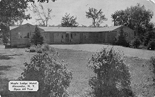 Alexander New York Maple Lodge Motel Street View Antik Képeslap K56269