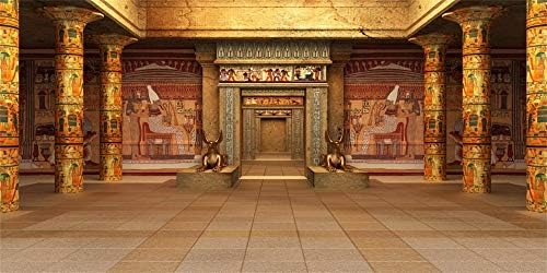 AOFOTO 15x8ft Egyiptomi Templom Hypostyle Hall Hátteret Vinil-Régészet Arany Egyiptom Palota, amelynek Hieroglifikus Falfestmény Hátteret Fotózás,