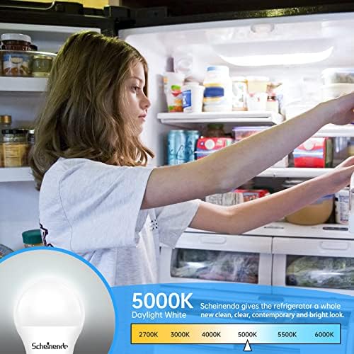 Scheinenda LED Hűtőszekrény Izzó (6 db), 40W Egyenértékű, 120V A15 Hűtőszekrény Izzó 6W, 5000K Nappal 480 Lumen, E26 Közepes Bázis, Fagyasztó