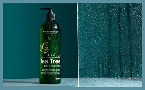 New York Biológia teafa tusfürdő teafa Sampon Set – Segít Viszkető Bőr Feltételek & Body Odor - Mély Tisztító – Megkönnyebbülés, hogy a Korpás,