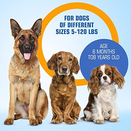 A kutya Ugat, Berendezések,kutyasíp Ultrahangos Kettős Érzékelő Anti Ugat Eszköz,Kutya Képzés & Viselkedés Aids,Újratölthető 9-Sebesség