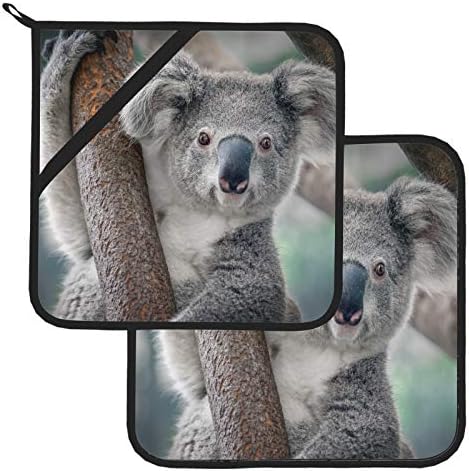Kedves Koala A Fa Sütő kaspókat, hőálló Konyhai készlet 2 Db Konyhai készlet 8×8 Hüvelykes Sütés-Főzés