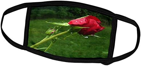 3dRose Renderly a Tiéd Virágos - Új Rózsa Bimbó Csillogott a Harmat - Álarcok (fm_22262_1)