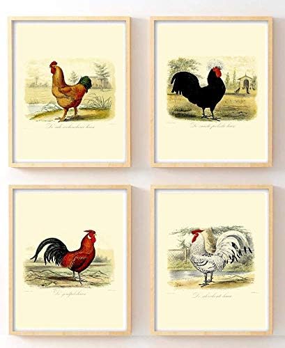 Évjárat Csirke, Kakas, Nyomatok által Tinta Inc. | Parasztház Dekoráció Bohém Design | Készlet 4 8x10 Keretben