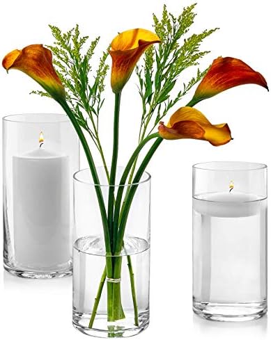 Készlet 12 Üveg Henger Vázák 8 Hüvelyk Magas - Multi-használat: Pillér Gyertya, Úszó Gyertyák, Tartók vagy a Virág Váza – Tökéletes,