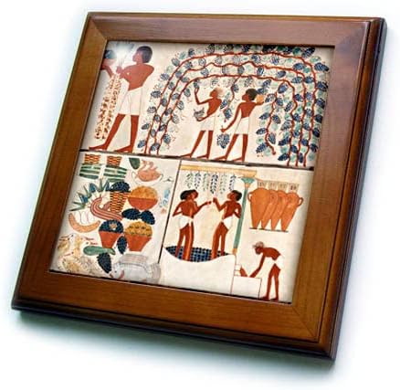 3dRose Ókori Egyiptomi Művészet Élelmiszer Veszi a Szőlő-Bor Készítése. Keretes Lapok (ft-371826-1)